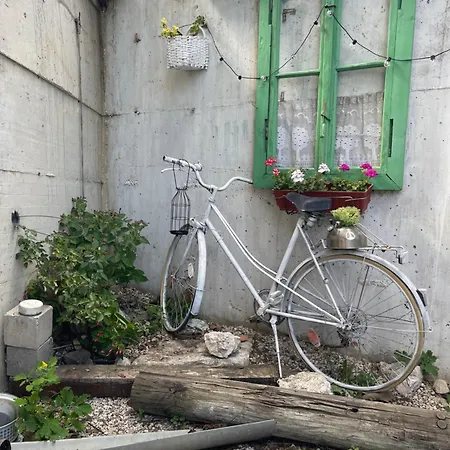 Studio Zvekir Apartament